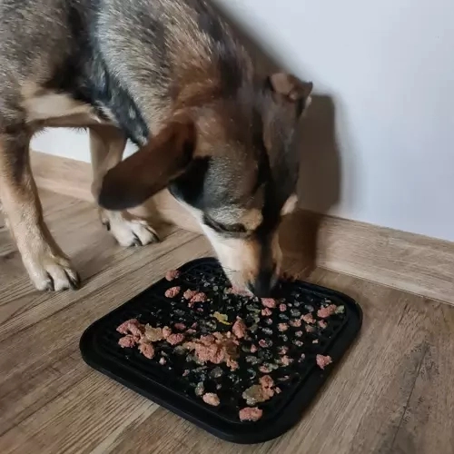 Masaje de encías y alimentación más lenta