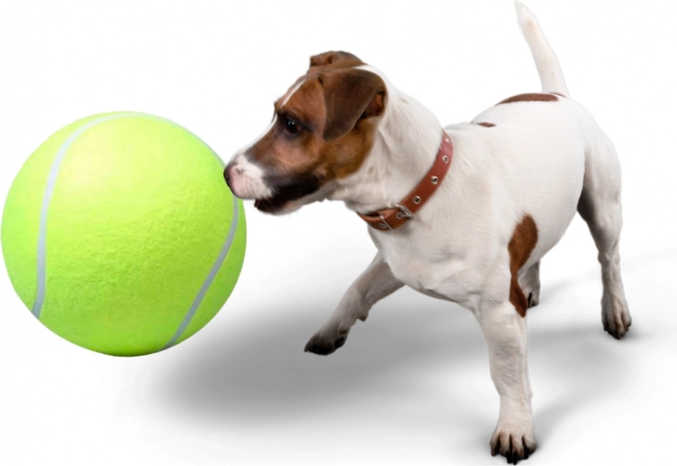 Ideal para el aporte y la interacción conjunta