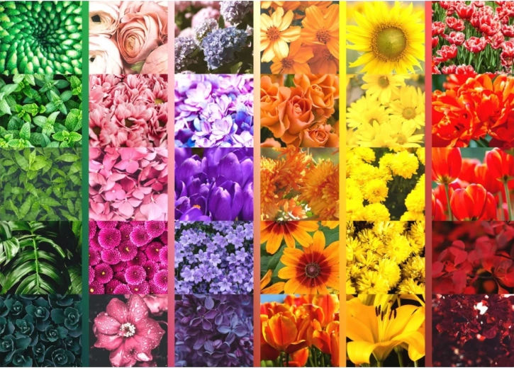 Vibrante paleta floral en cuadrícula