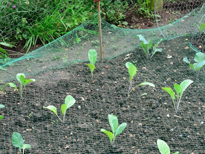 Instalación y ajuste sencillos