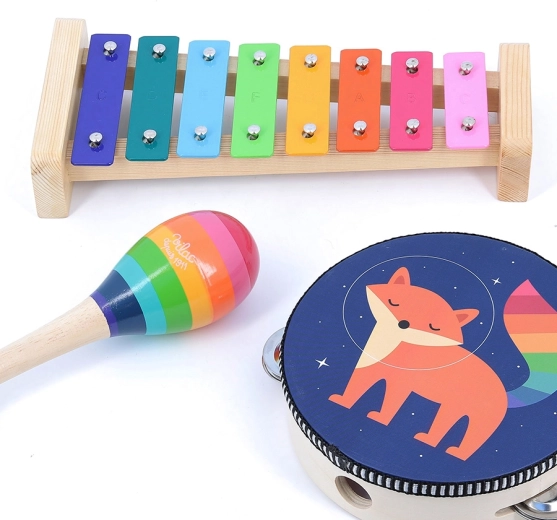 Set completo de instrumentos