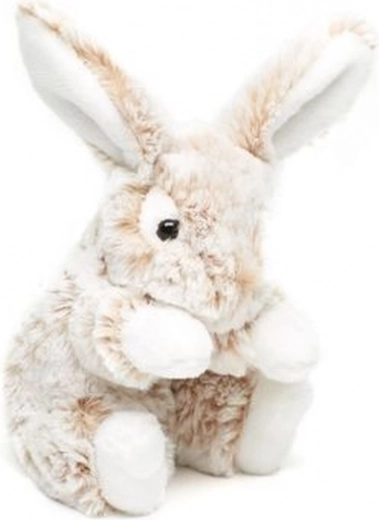 Tamaño ideal de 20 cm