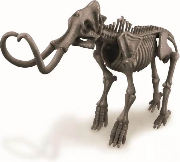 Modelo de esqueleto de mamut para montar