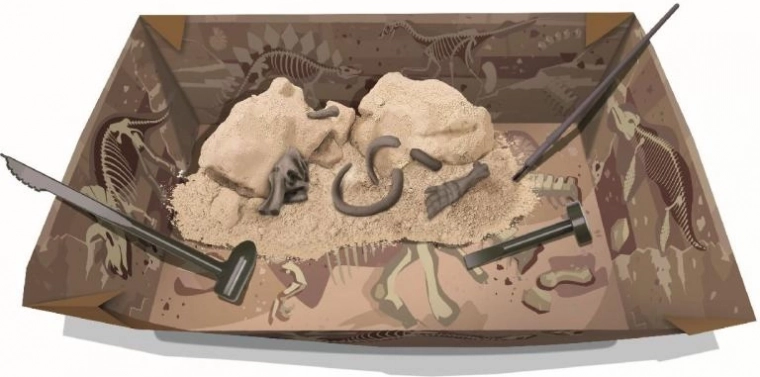 Excava y descubre: bloque de yeso con fósiles