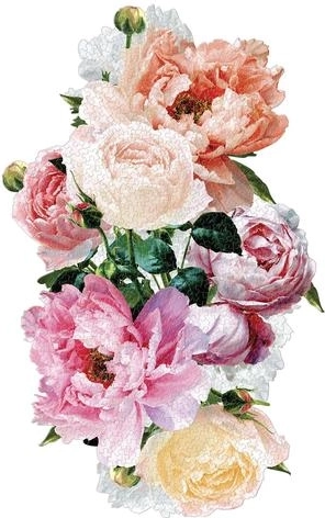 Hermoso motivo floral