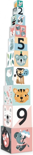 Ilustraciones atractivas