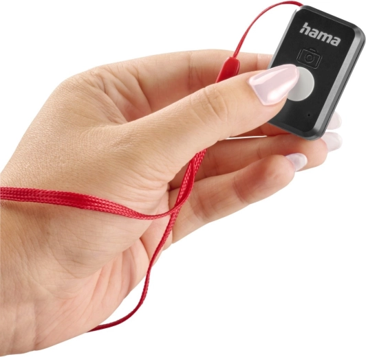 Control remoto Bluetooth desmontable