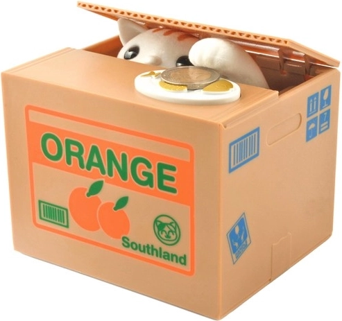 Interacción divertida: gato, patita y maullido