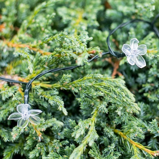 Diseño floral y efecto de color