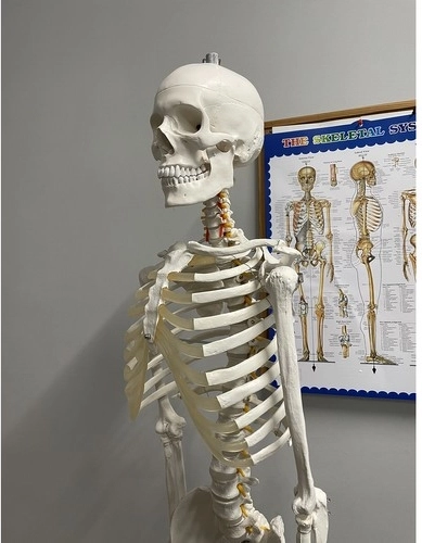 Ayuda didáctica con póster