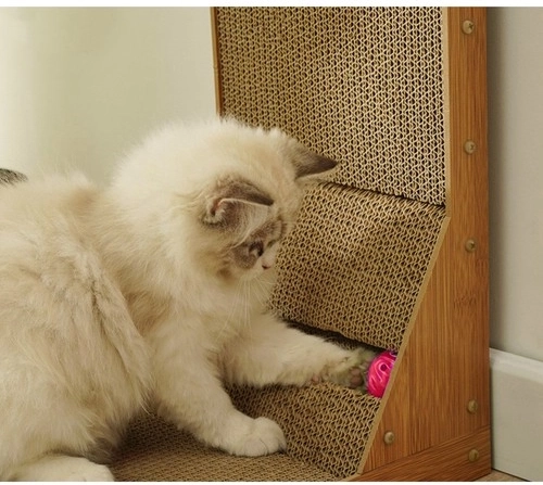 Túnel divertido con pelota