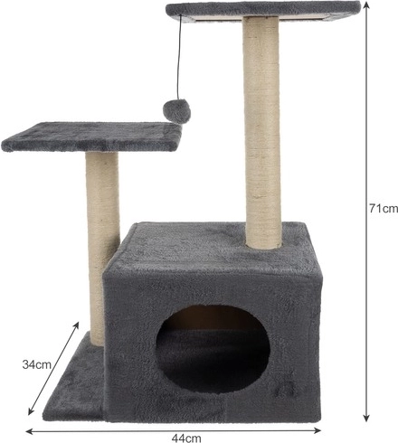 Diversión y actividad