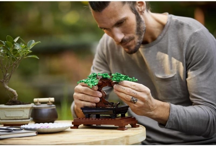 Aspecto decorativo y realista