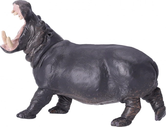 Materiales seguros sin ftalatos