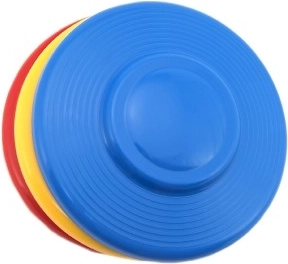 Colores vivos y diseño