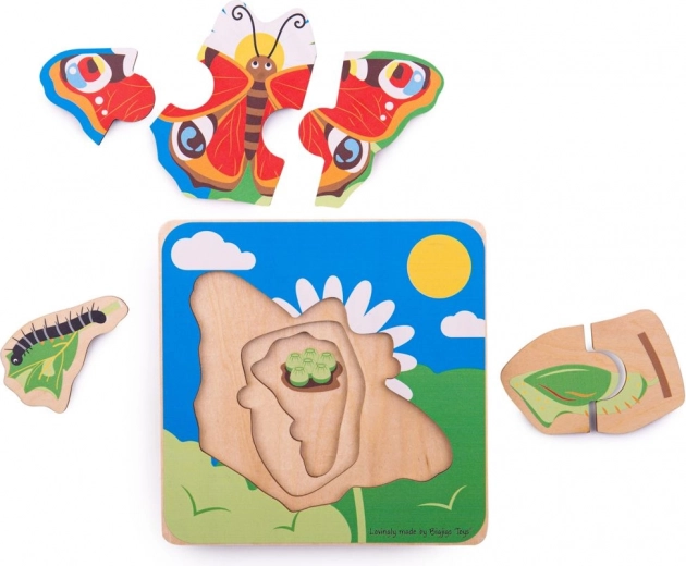 Aprendizaje visual del ciclo de vida