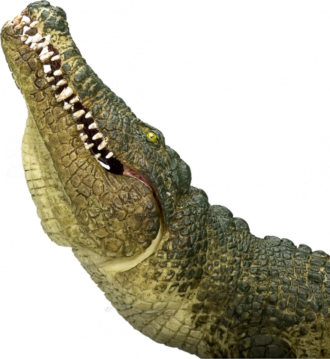Mandíbula móvil