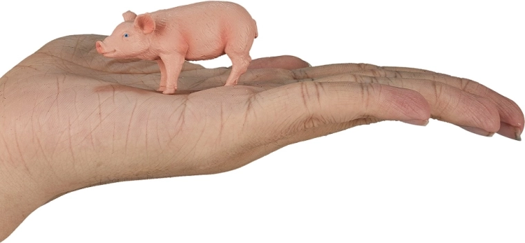 Tamaño compacto para una mano pequeña