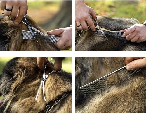 Gran juego con accesorios en estuche