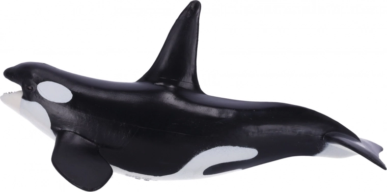 Educativa y coleccionable