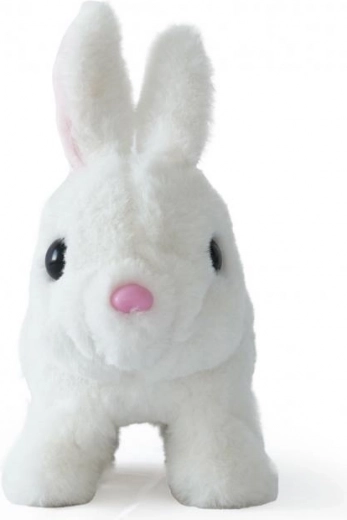 Un adorable compañero para cada día