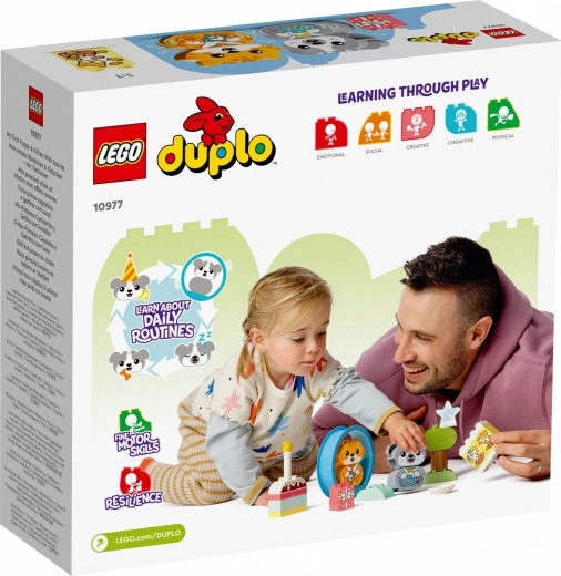 Regalo educativo y divertido