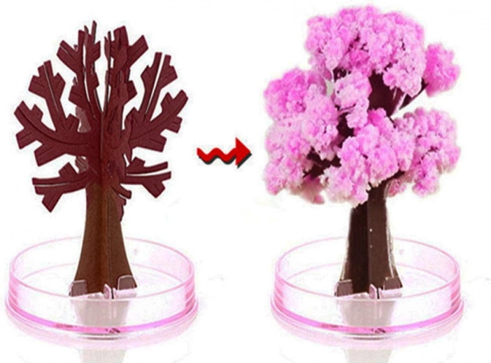 Magia de floración instantánea