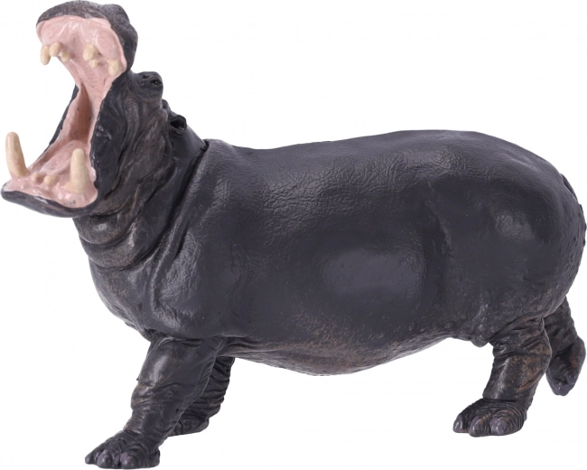 Educación y coleccionismo