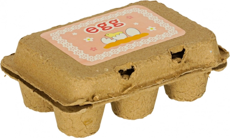 Huevera de cartón realista para 6 huevos