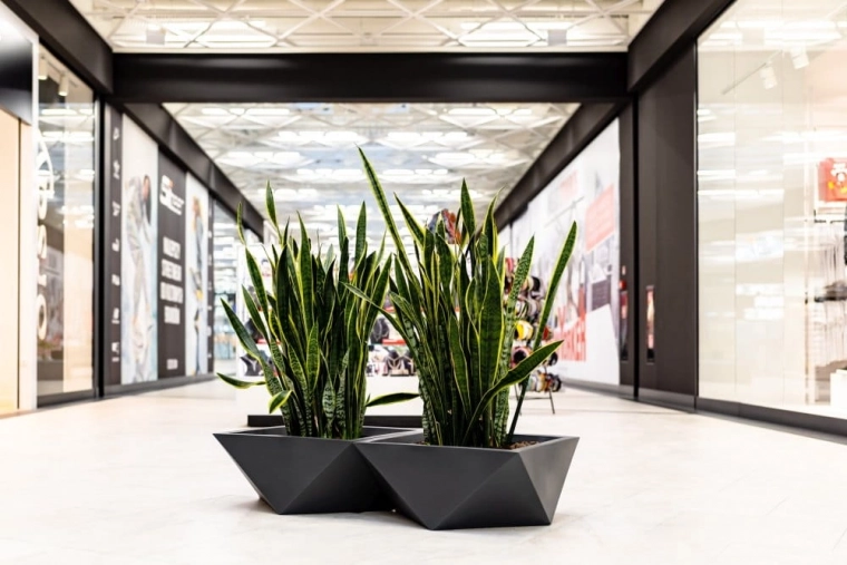 Geometría elegante para espacios modernos