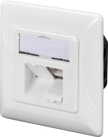Dos puertos RJ45