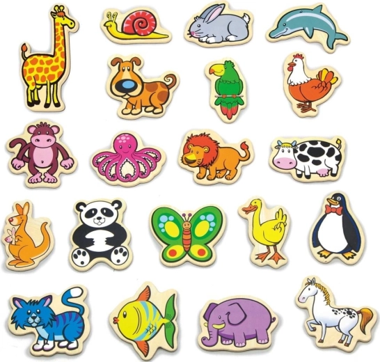 Desarrollo de la motricidad fina