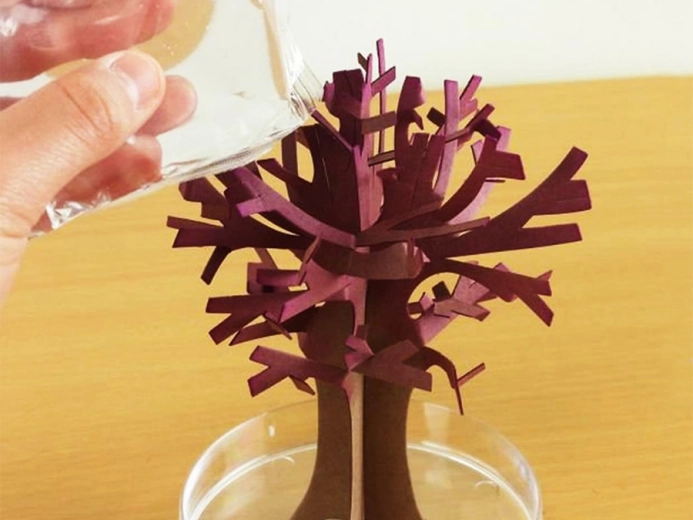 Proceso sencillo para niños y adultos