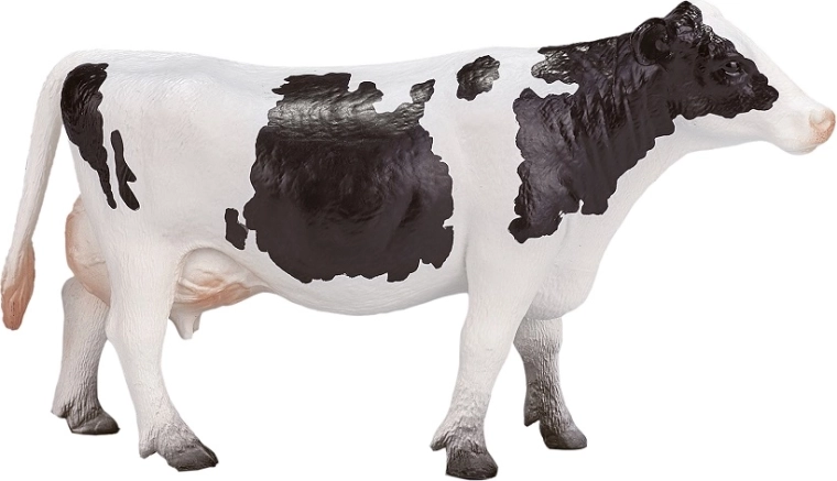 Detalles fieles de la vaca holstein