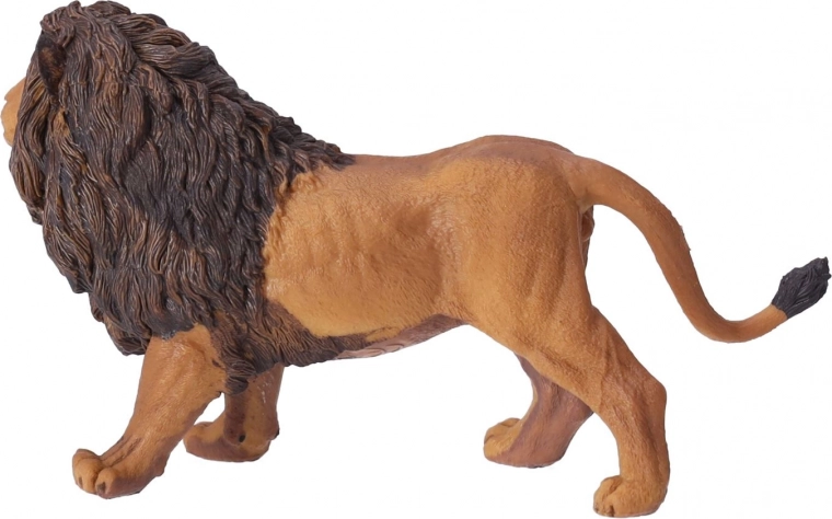 Apta para educación y colecciones