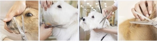 Ergonomía profesional y funcionamiento fluido