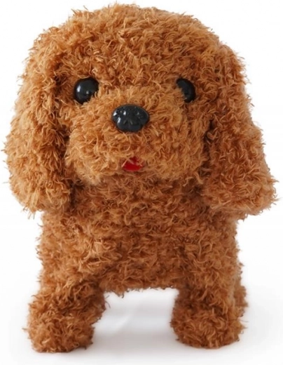 Adorable compañero de juego