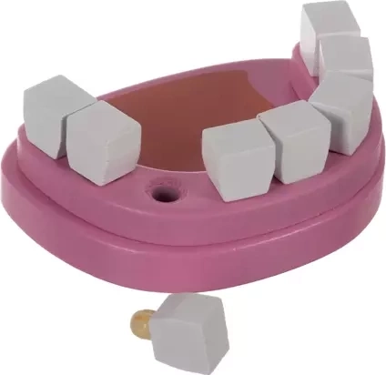 Aprender jugando con el modelo dental