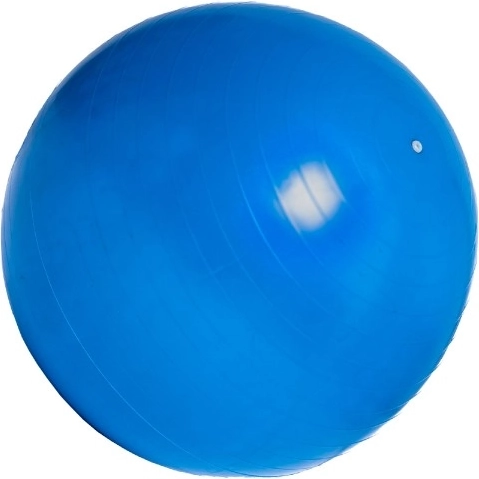 Fortalece el core y mejora la postura