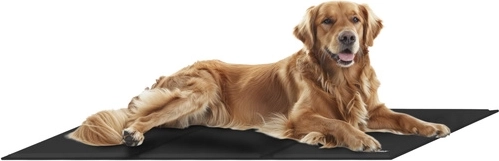 Tamaño XXL: comodidad para todas las razas