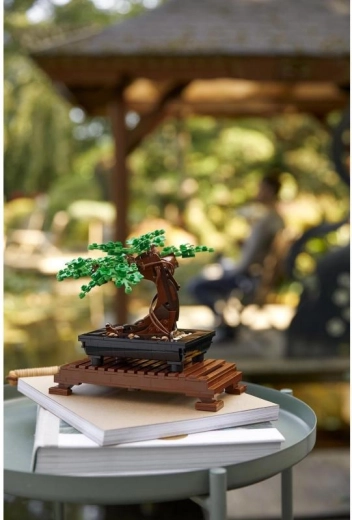 Construcción creativa para adultos