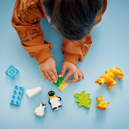 Desarrollo de la motricidad fina y la creatividad