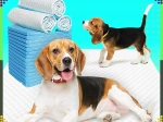 Almohadillas higiénicas para perros XL 40×60 cm, superabsorbentes, 50 uds