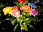 Luz solar de jardín con forma de rosa – set de 2 piezas