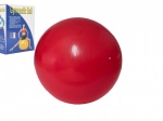 Pelota de gimnasia para ejercicio y relajación