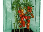 Invernadero de jardín compacto 100 × 50 × 150 cm